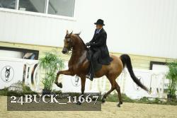 24BUCK_11667 thumbnail