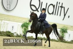 24BUCK_11668 thumbnail