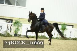 24BUCK_11669 thumbnail