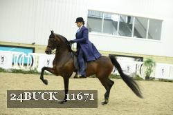 24BUCK_11671 thumbnail
