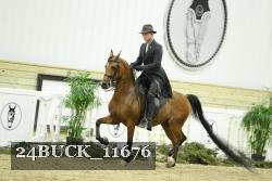 24BUCK_11676 thumbnail