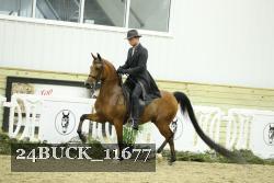 24BUCK_11677 thumbnail