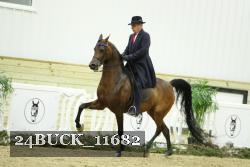 24BUCK_11682 thumbnail