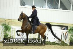 24BUCK_11684 thumbnail