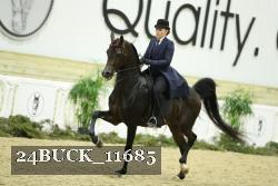 24BUCK_11685 thumbnail