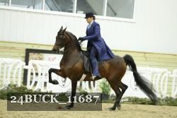 24BUCK_11687 thumbnail