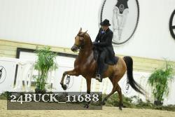 24BUCK_11688 thumbnail