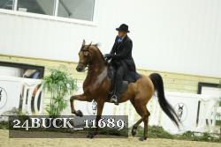 24BUCK_11689 thumbnail