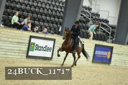 24BUCK_11717 thumbnail