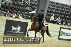 24BUCK_11718 thumbnail