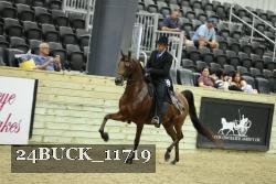 24BUCK_11719 thumbnail