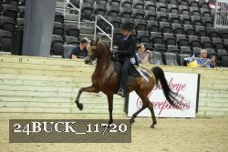 24BUCK_11720 thumbnail