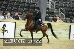 24BUCK_11722 thumbnail