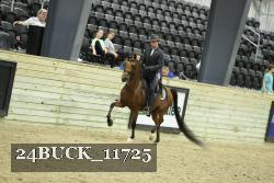 24BUCK_11725 thumbnail
