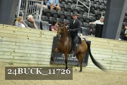24BUCK_11726 thumbnail