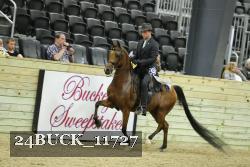 24BUCK_11727 thumbnail