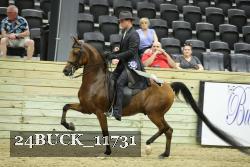 24BUCK_11731 thumbnail
