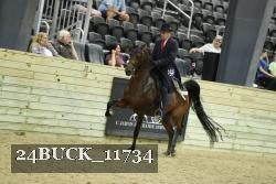 24BUCK_11734 thumbnail