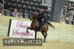 24BUCK_11735 thumbnail