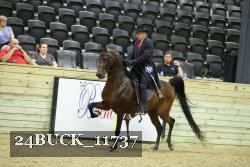 24BUCK_11737 thumbnail