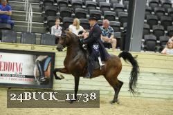 24BUCK_11738 thumbnail