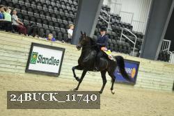 24BUCK_11740 thumbnail