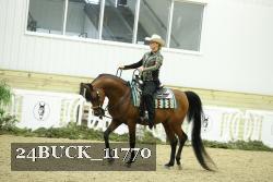 24BUCK_11770 thumbnail