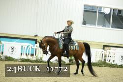 24BUCK_11772 thumbnail