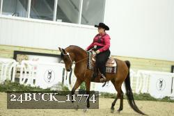 24BUCK_11774 thumbnail