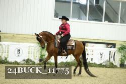24BUCK_11775 thumbnail