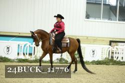 24BUCK_11776 thumbnail