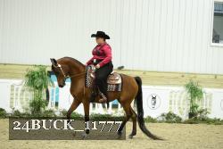 24BUCK_11777 thumbnail