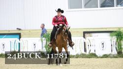 24BUCK_11781 thumbnail