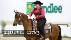 24BUCK_11783 thumbnail