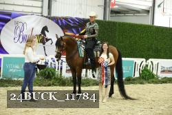 24BUCK_11784 thumbnail