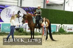 24BUCK_11785 thumbnail