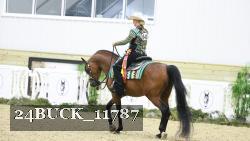 24BUCK_11787 thumbnail