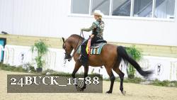 24BUCK_11788 thumbnail
