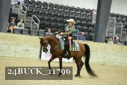 24BUCK_11796 thumbnail