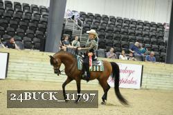 24BUCK_11797 thumbnail