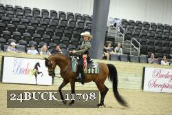 24BUCK_11798 thumbnail