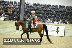 24BUCK_11801 thumbnail