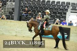 24BUCK_11805 thumbnail