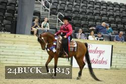 24BUCK_11815 thumbnail