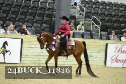 24BUCK_11816 thumbnail