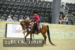24BUCK_11818 thumbnail