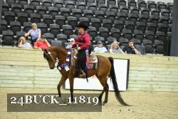 24BUCK_11819 thumbnail