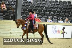 24BUCK_11820 thumbnail
