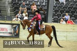 24BUCK_11821 thumbnail