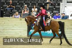 24BUCK_11824 thumbnail